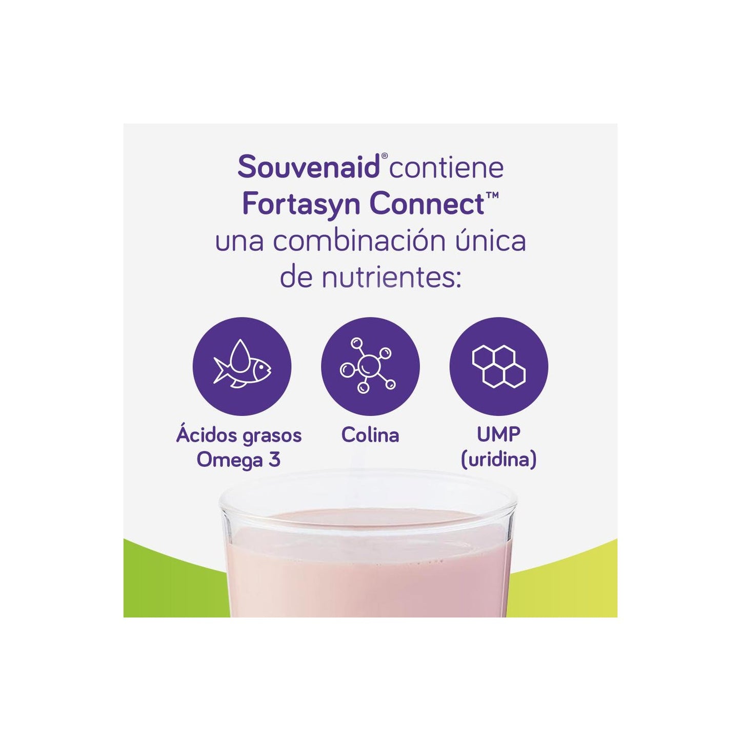 Souvenaid Fresa 32x125ml