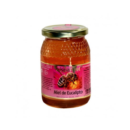 Hispamiel Miel De Eucalipto 500g