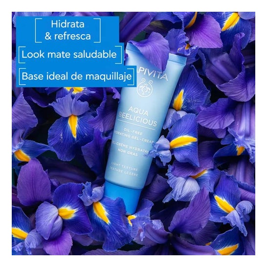 Apivita Crema-gel hidratante oil free Textura Ligera 40ml