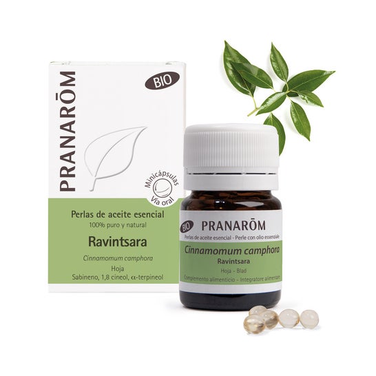 Pranarôm Perlas de Aceite Esencial de Ravintsara BIO 60caps