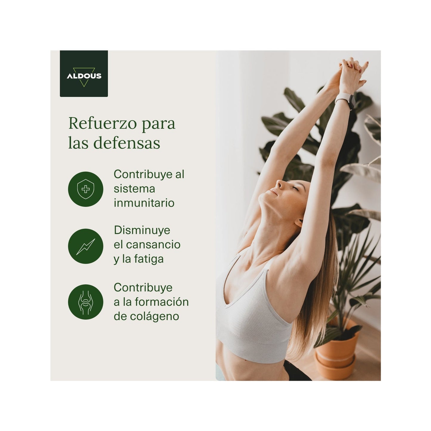 Aldous Bio Vitamina C Pura 1000mg 250comp