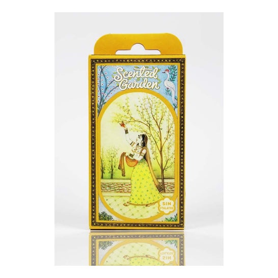 Radhe Shyam Nag Champa Cono Incienso Scented Garden 12 uds