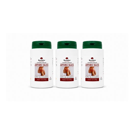 Exceldiet Pharma Arthrosilice 360 Cápsulas