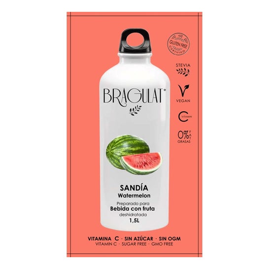 Bragulat Bebida Soluble Sandia 15 X9 g