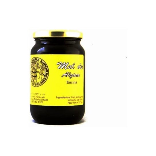 Cal Valls Miel Encina 500 g