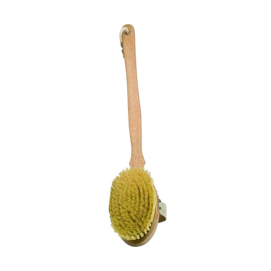 Biocenter Cepillo Exfoliante Fibra Cactus 1 ud