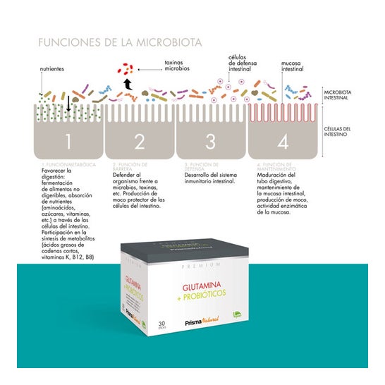 Prisma Natural Glutamina + Probióticos 30 sticks