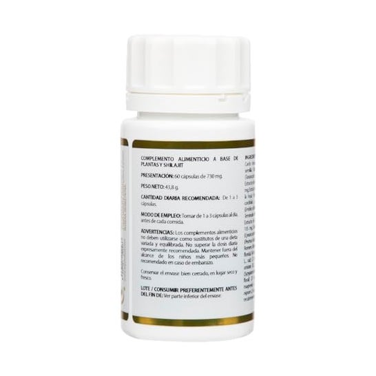 Equisalud Yoga Kalash Shodhan 60 caps