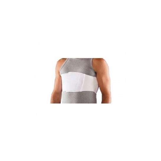 Intex faja torácica caballero