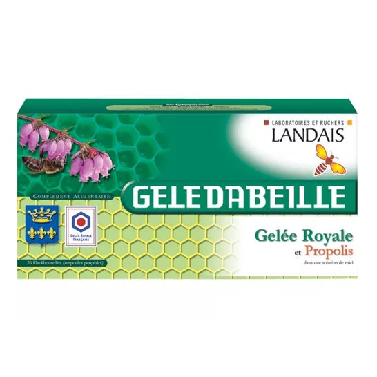 Laboratoires Landais Geledabeille Ampolla Bebible 26x5 ml