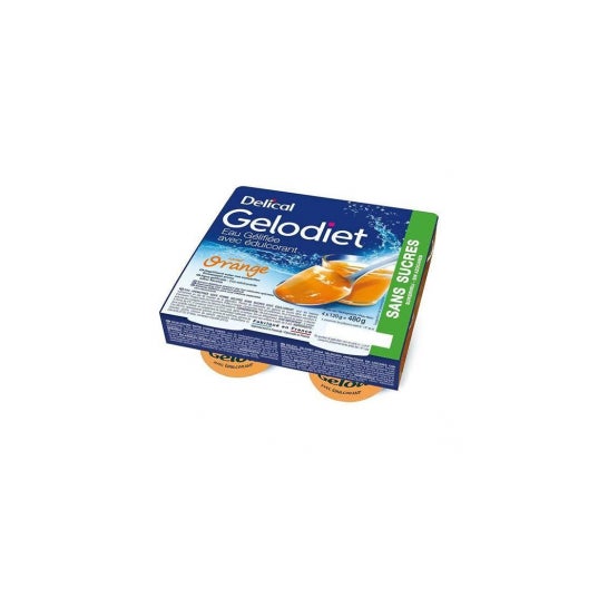 Delical Gelodiet Water S/S Oran 4X120