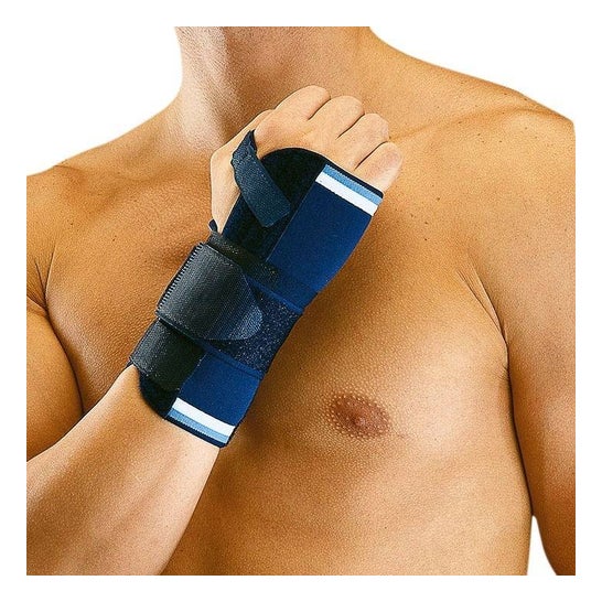 Orliman Muñequera Ferula Neopreno Derecha T-2 17-19 cm