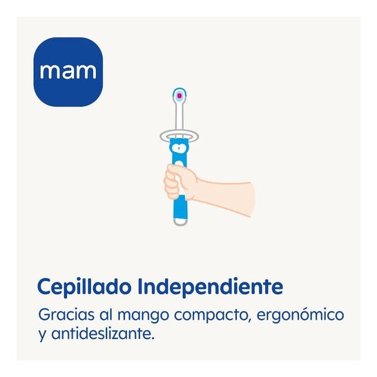Mam Baby Cepillo Dental Infantil Baby's Brush +6M 1 Unidad