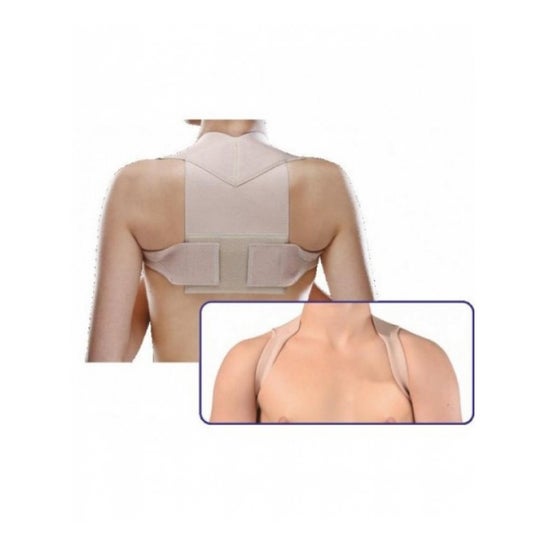 Cliaortho Raddrizzaspalle M