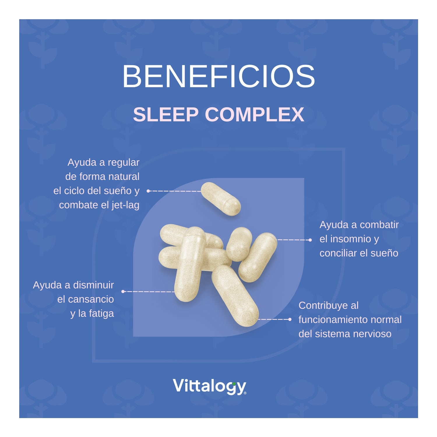 Vittalogy Sleep Premium 120 caps