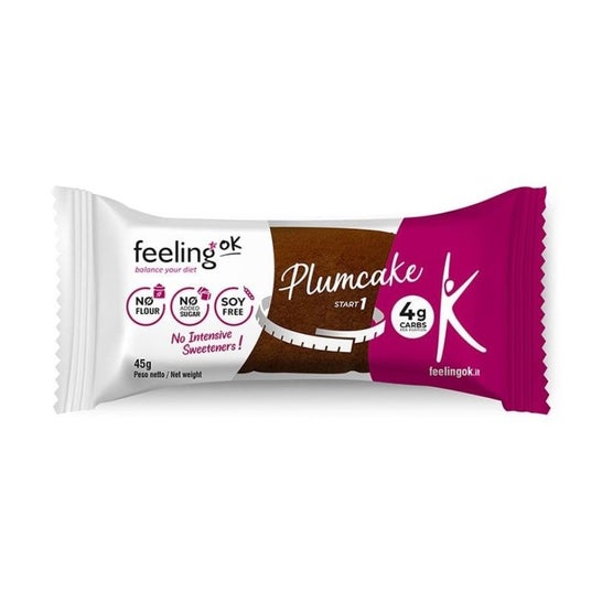 Feeling Ok Plumcake Chocolate 45 g