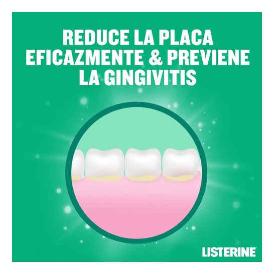 Listerine Enjuague Bucal Protección Dientes y Encías Menta 500+250ml
