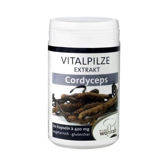 Pilze Wolhrab Cordyceps 60 caps