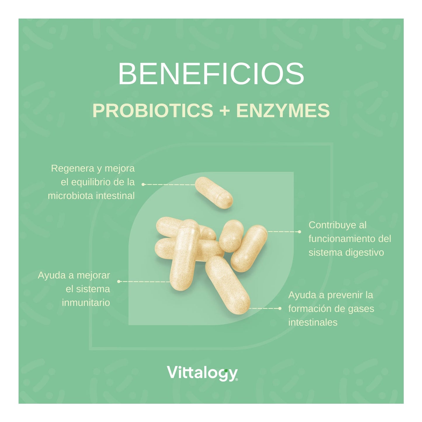 Vittalogy Probiotics Premium 60caps