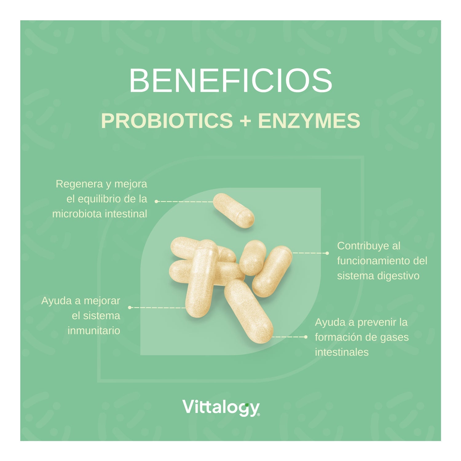 Vittalogy Probiotics Premium 60caps
