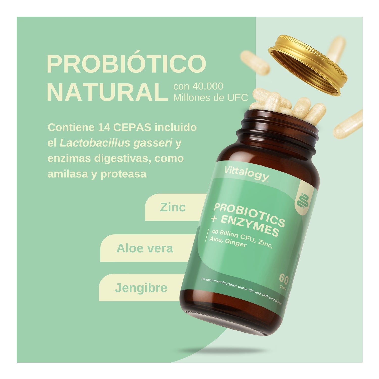 Vittalogy Probiotics Premium 60caps