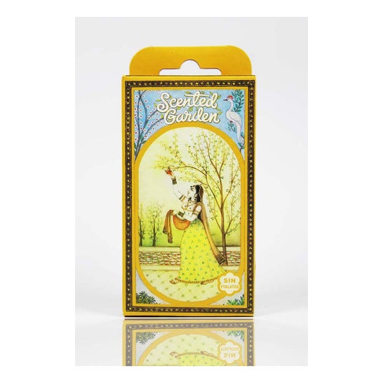 Scented Garden Clavel Cono Incienso 12uds