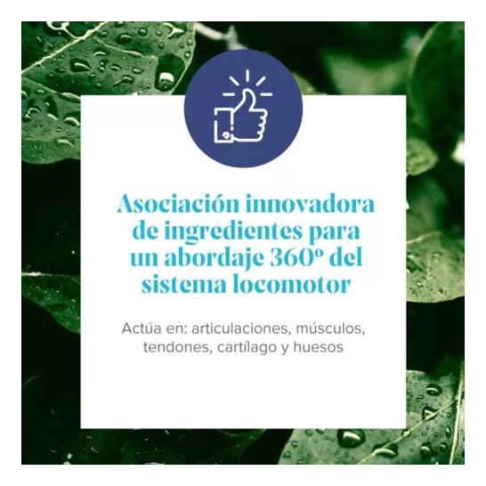 Arkopharma Arkoflex Colágeno Total sabor Naranja 390g