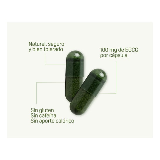 FontUp 60 cápsulas