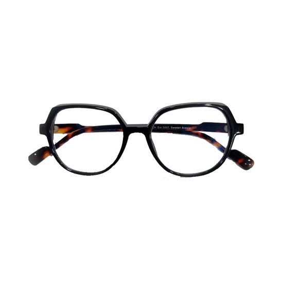 Nordic Vision Avesta Gafas Lectura +3.50 1ud