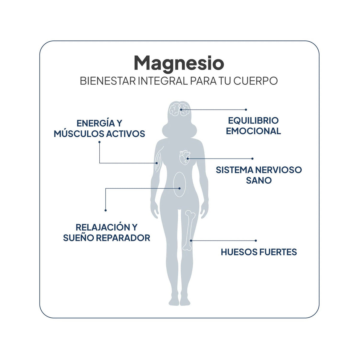 IVB Wellness Lab Magnesio Total 180 caps