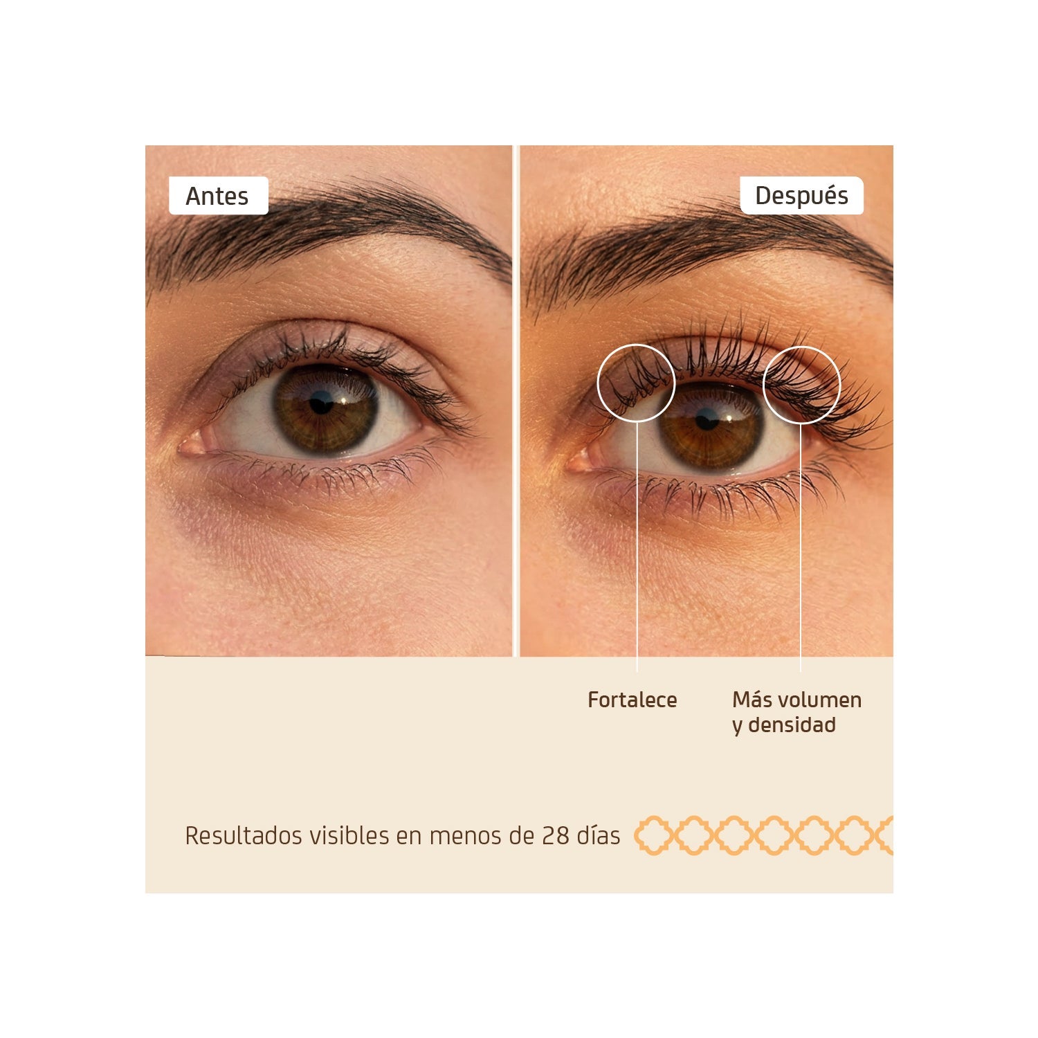 Nuggela & Sulé Sérum Pestañas 10ml