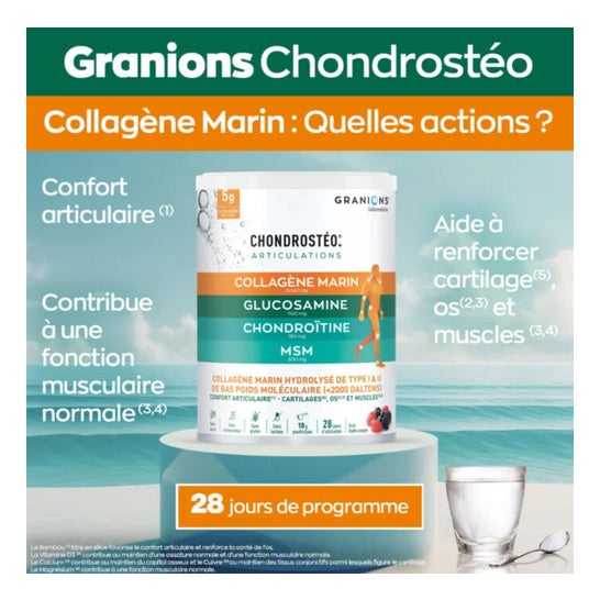 Granions Condrosteo+ Colágeno Marino 280g