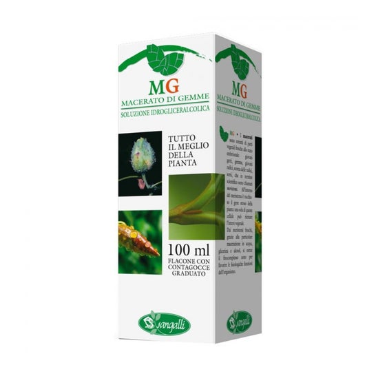 Sangalli Betula Verrucosa 100 ml