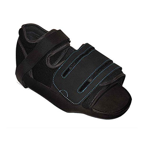 Prim Zapato Postquir en Talo M