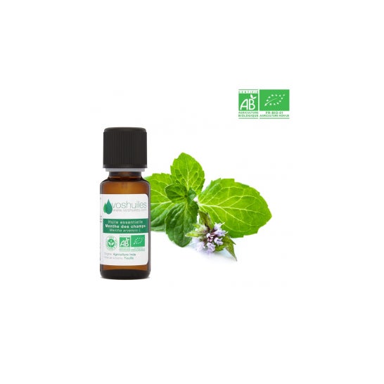 Voshuiles Aceite Esencial BIO de Menta Silvestre 10 ml