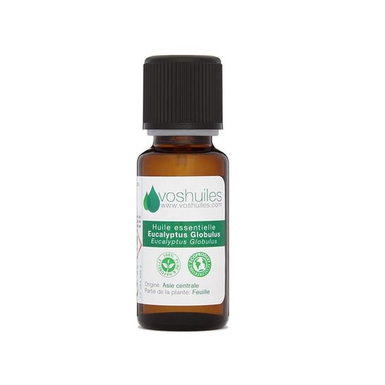 Voshuiles Aceite Esencial de Eucalipto Blanco 10 ml