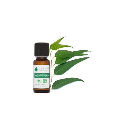 Voshuiles Aceite Esencial de Eucalipto Blanco 10 ml
