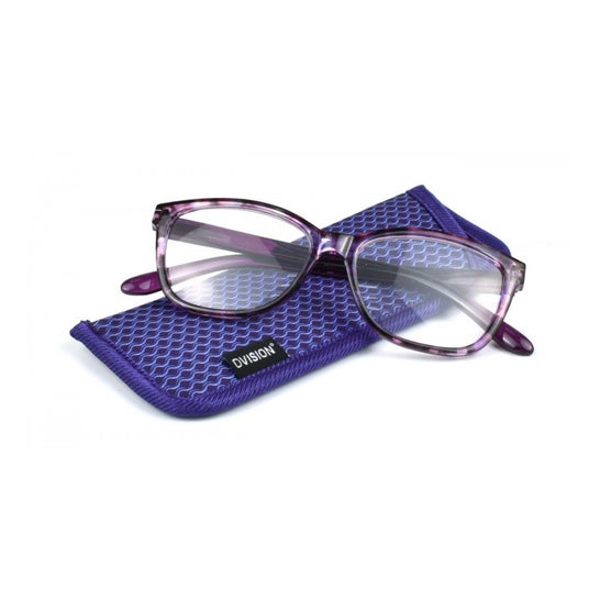 D Vision Gafas Corcega +1,00 1ud