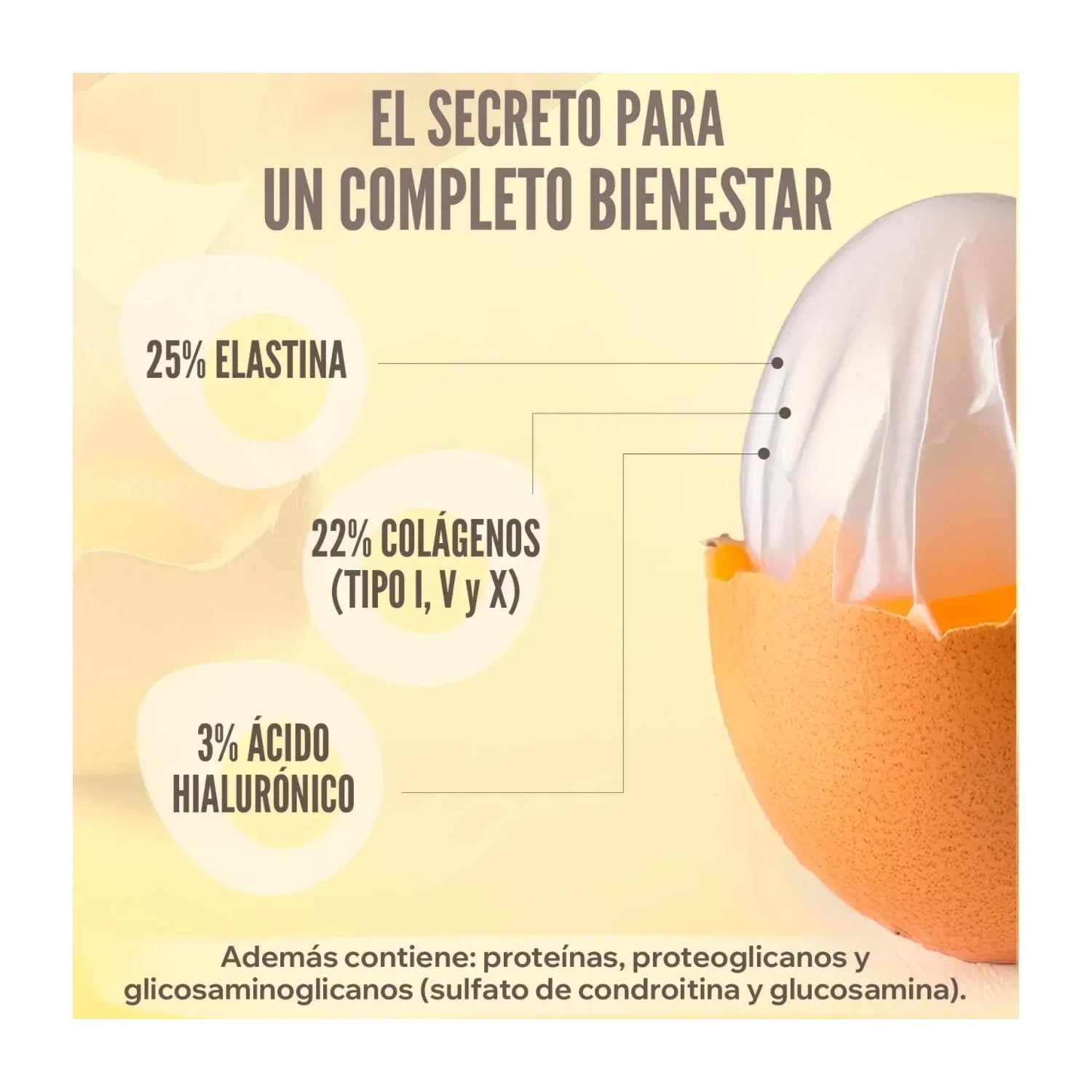 HSN Membrana de Cáscara de Huevo Ovomet® 300mg 120vcaps
