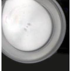 Medichy Model Collagen Serum+ 50ml