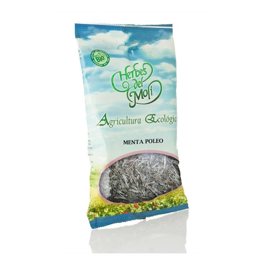 Poleo Menta En Planta 40 Gr