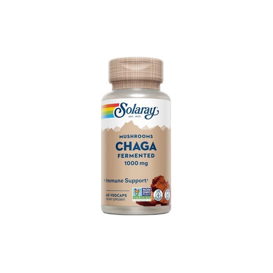 Solaray Chaga Fermentado 500 mg 60 caps