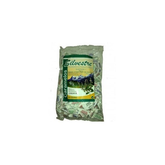 Silvestre Romero Caramelos Bio 150 g