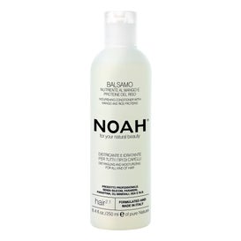 Noah Acondicionador Mango y Proteínas de Arroz Hair 2.1 250 ml