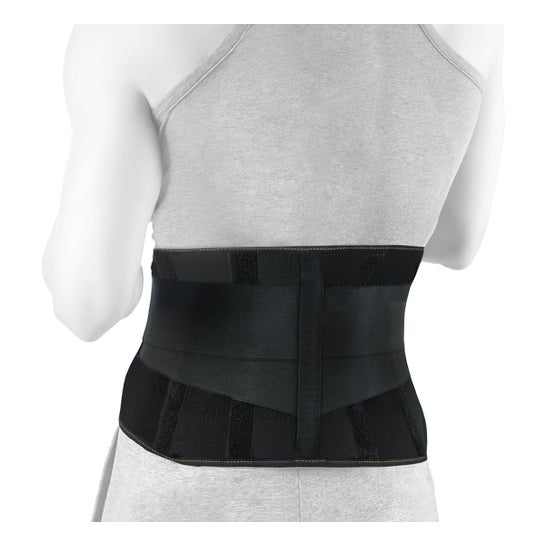 Faja de Soporte Lumbar Orliman Ace604 T3