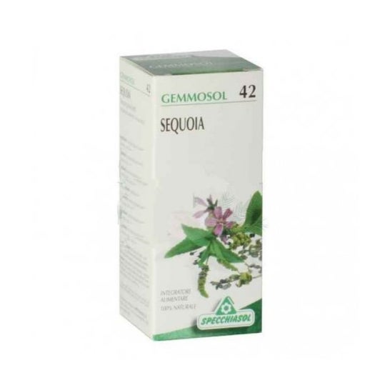 Specchiasol Solucion Hidroalcoholica 42 Secuoya 50ml