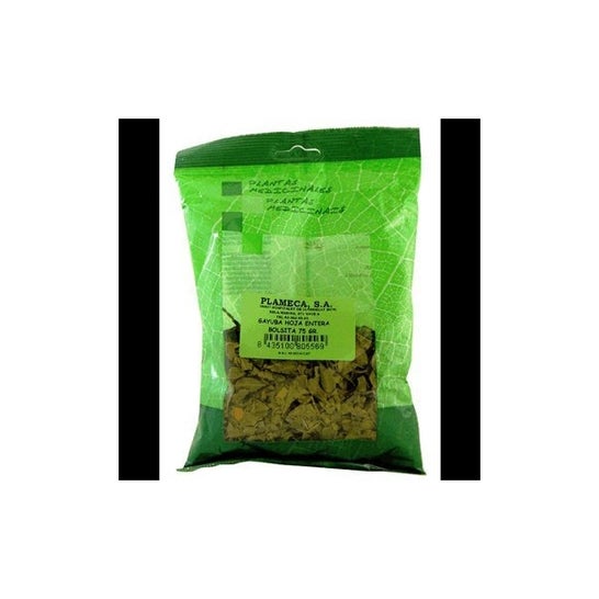 Plameca Gayuba Hoja Entera 1Kg