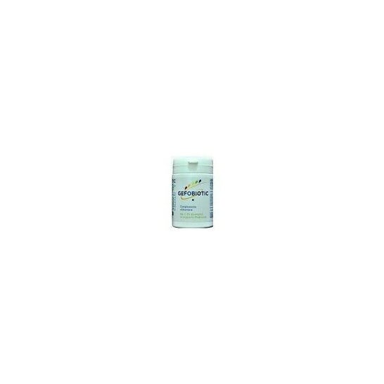 Gefo Nutrition Gefobiotic 56 caps