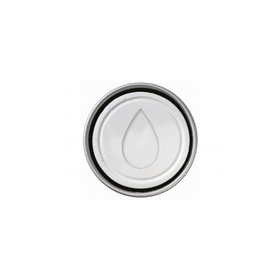 Fleurance Nature Galet Aromatique-Diffuseur D'Huiles Essentielles 1 ud
