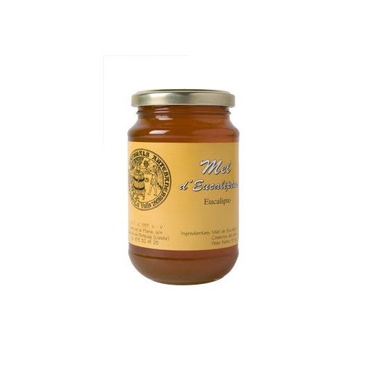 Cal Valls miel de eucalipto 500g